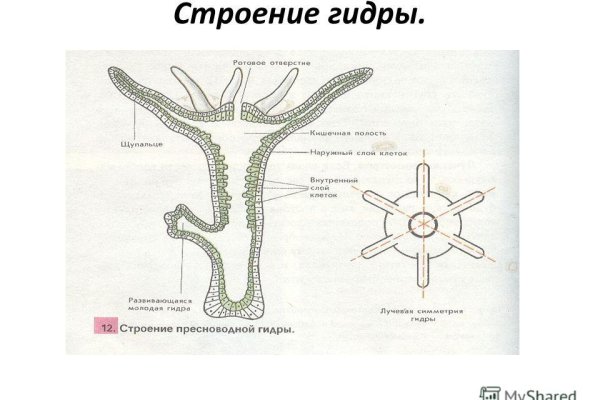 Официальный сайт кракен тор