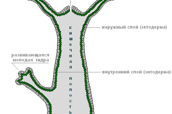 Восстановить аккаунт на кракене