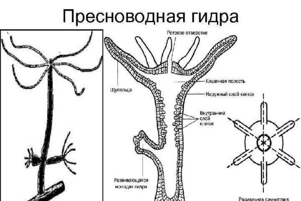 Кракен маркетплейс